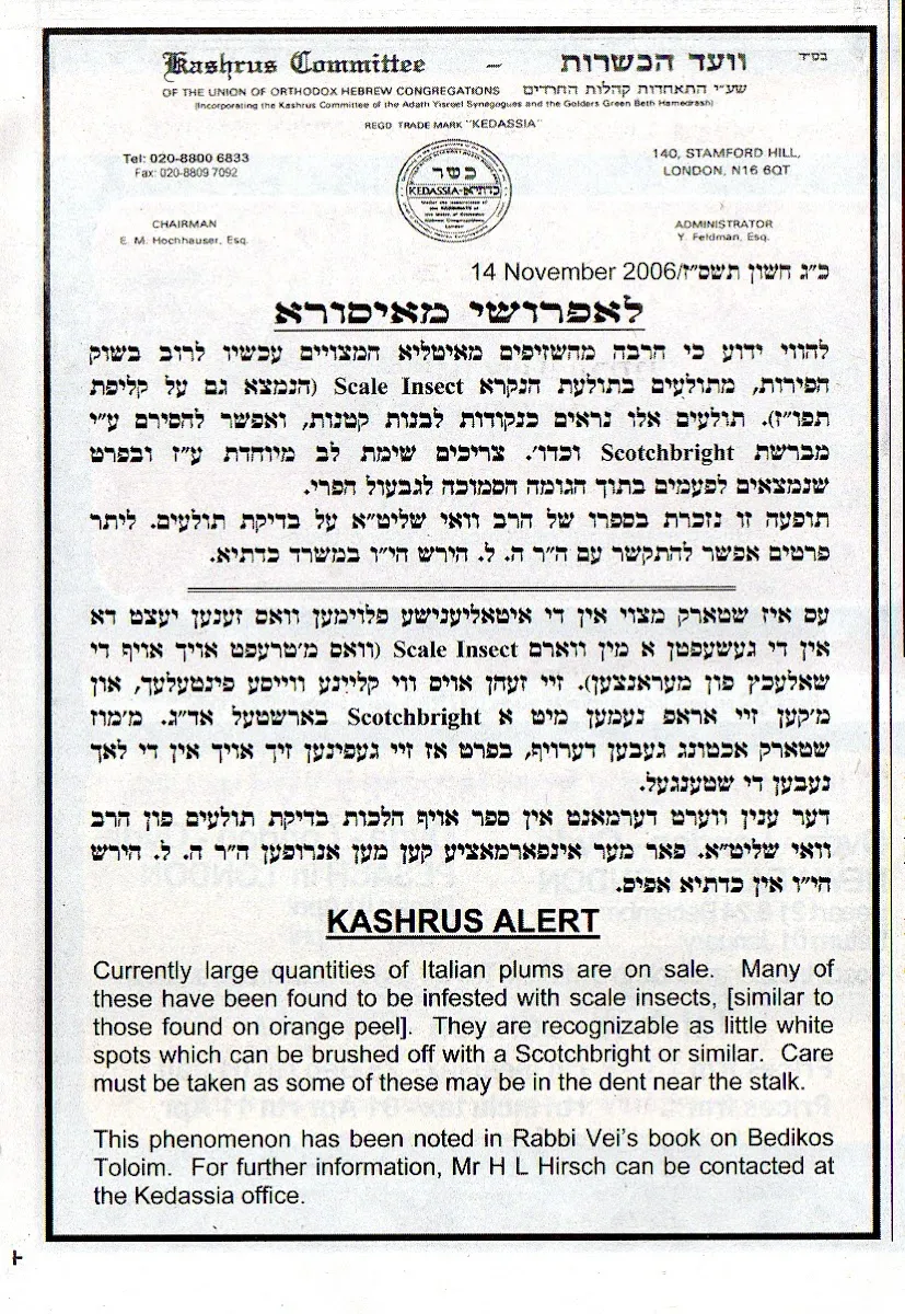 Kedassia - Union of Orthodox Hebrew Congregations — foto 3