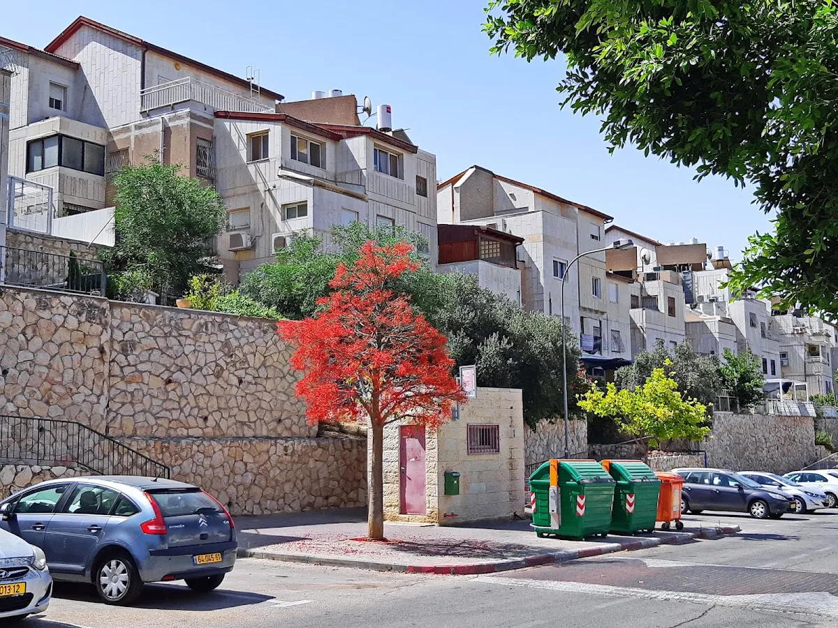 Kehal Chasidim Synagogue Ma'ale Adumim — foto 8