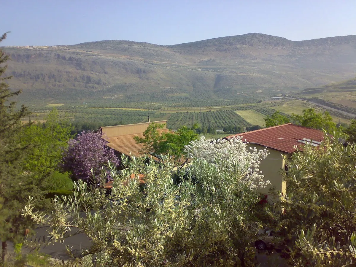 Kehillat HaKerem
