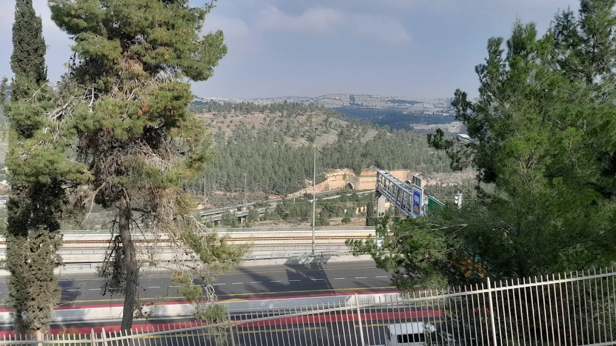Kehillat Yerushalayim Funeral Home — foto 10