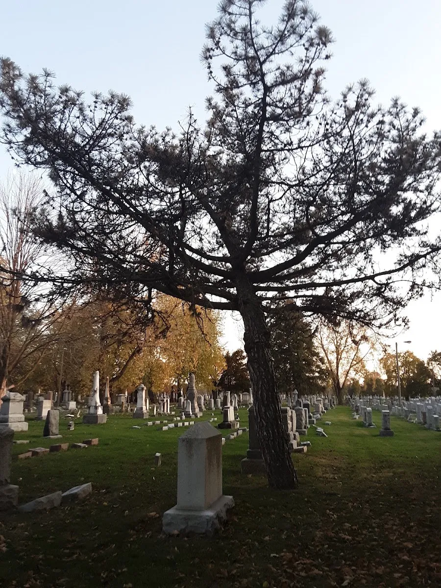 Kelly Street Historic Jewish Cemeteries — foto 4