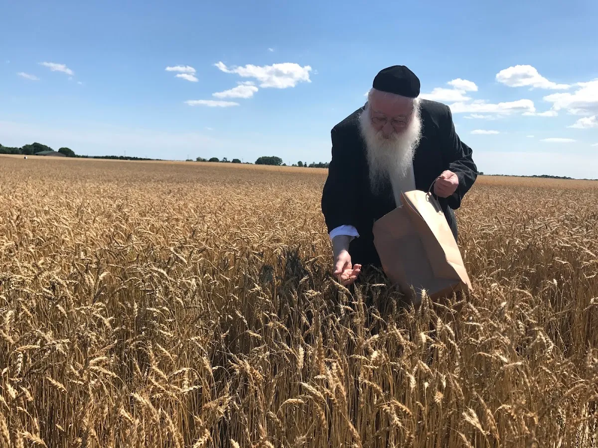Kerestir Matzah Bakery — photo 4