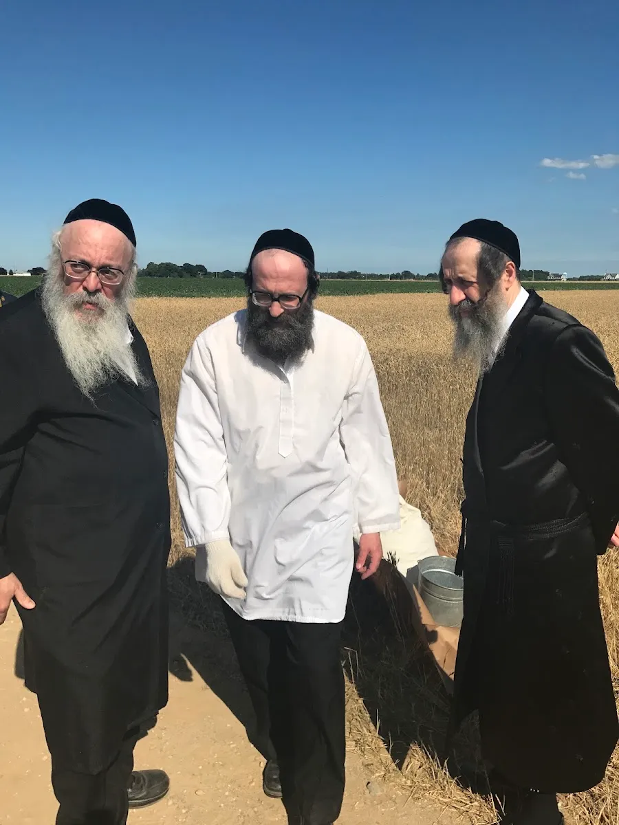 Kerestir Matzah Bakery — photo 10