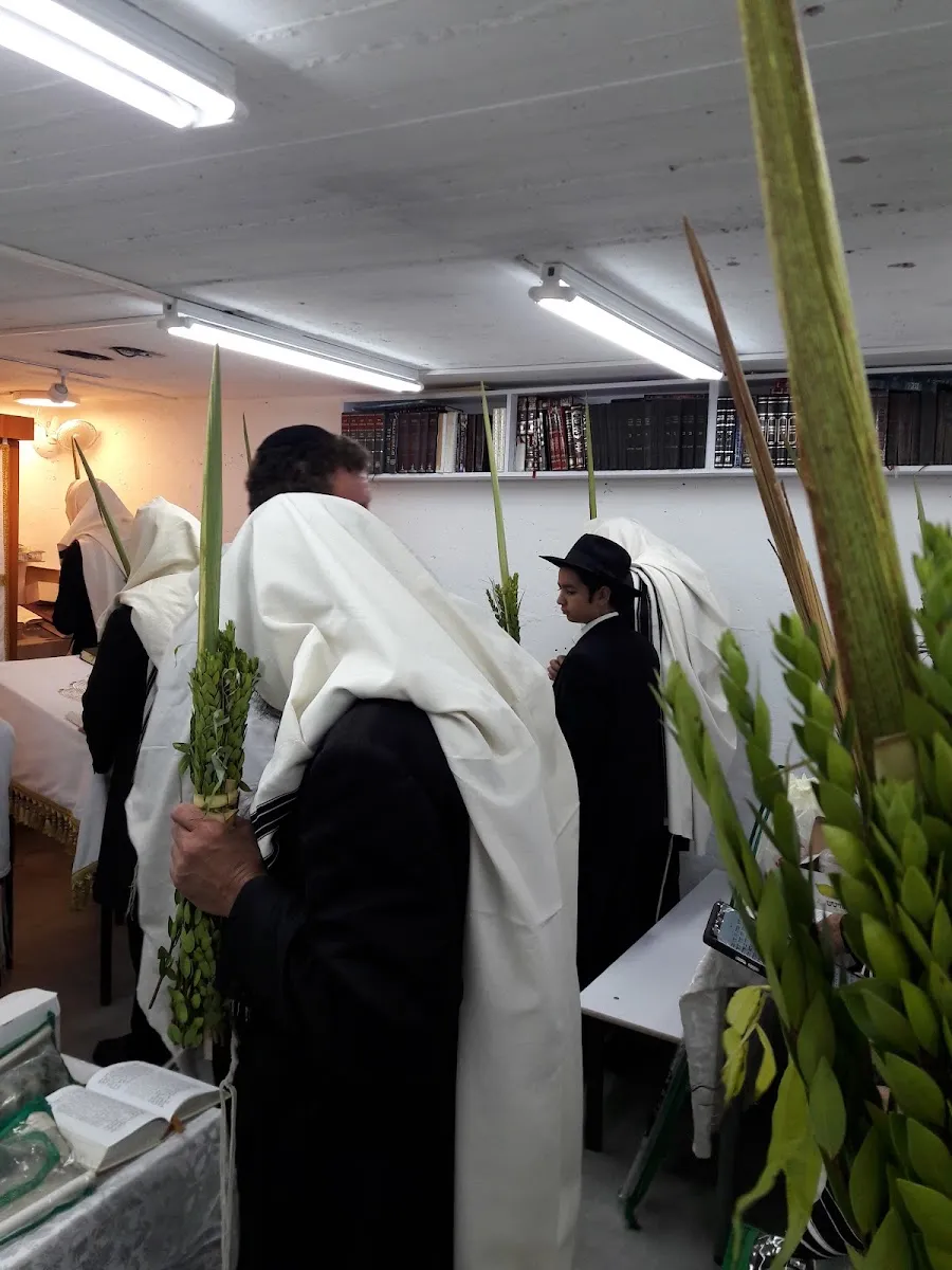 Kfar Chabad Synagogue — foto 2