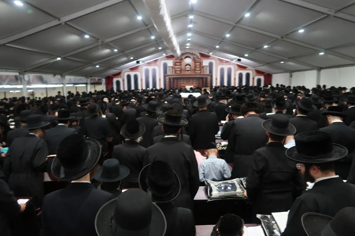 Kloiz Shel HaShul — photo 2