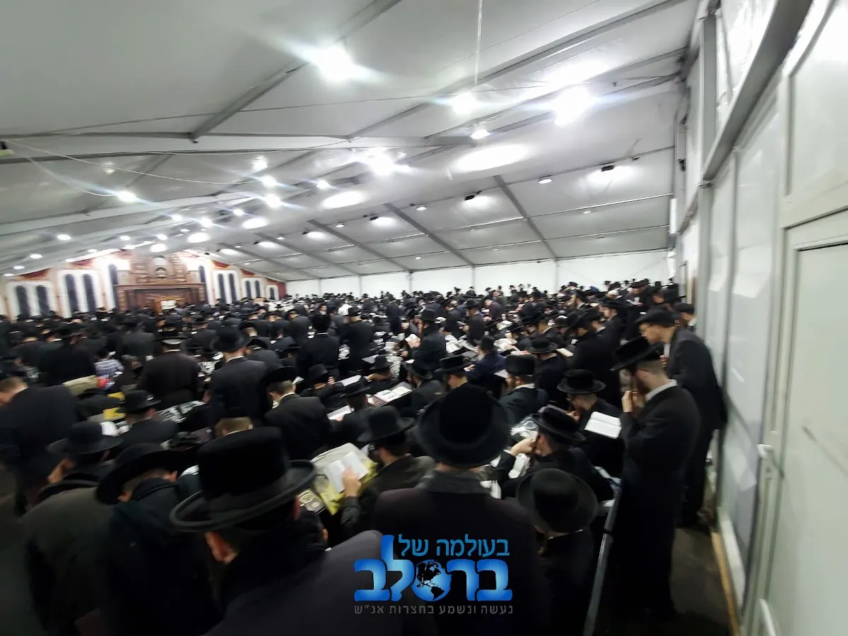 Kloiz Shel HaShul — photo 5
