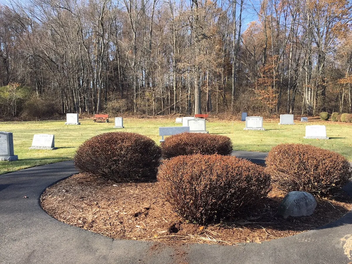 Kol Haverim Cemetery — foto 4