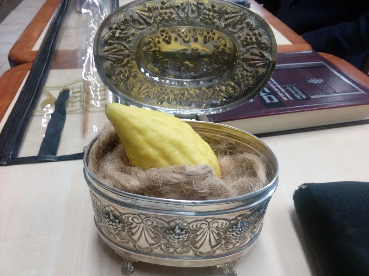 Kolel Aram Zoba — foto 6
