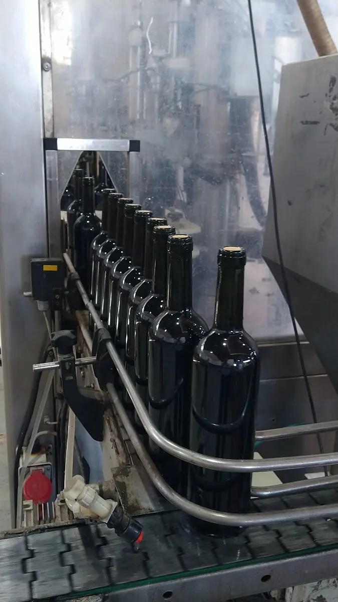 Kosher Directo Tienda de Vinos — foto 4