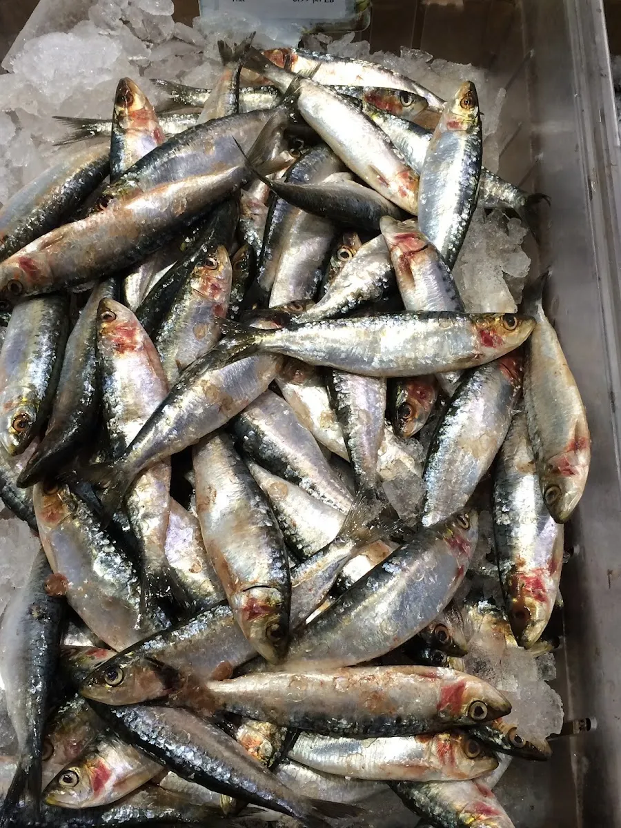 Kosher Fish Market — photo 4