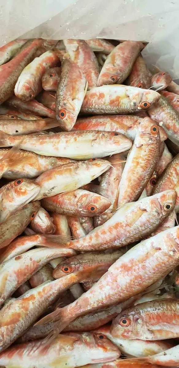 Kosher Fish Market — photo 5