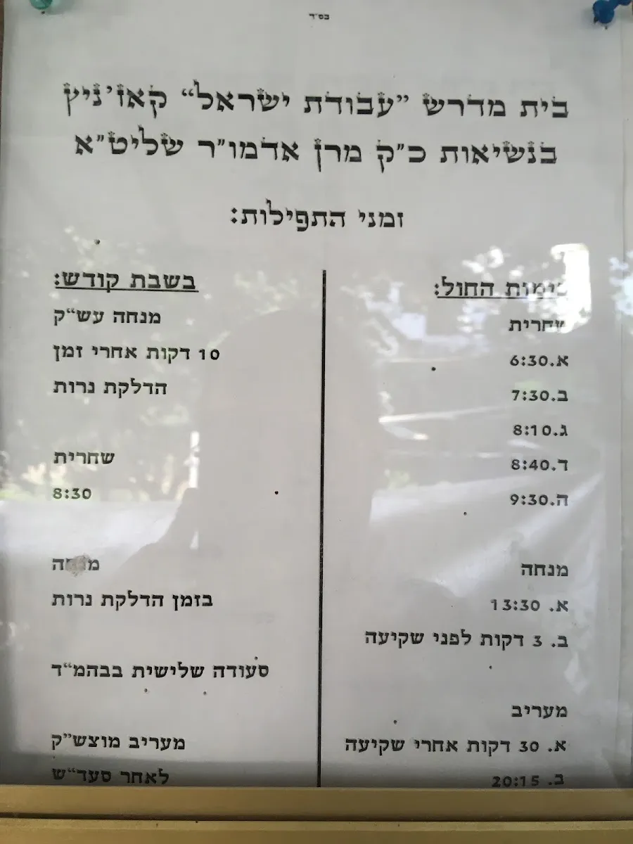 Kozhnitz Synagogue — foto 6