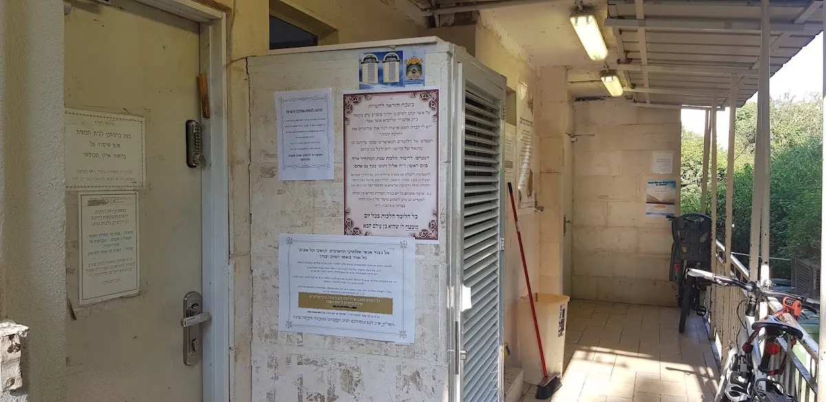 Kozhnitz Synagogue — foto 7