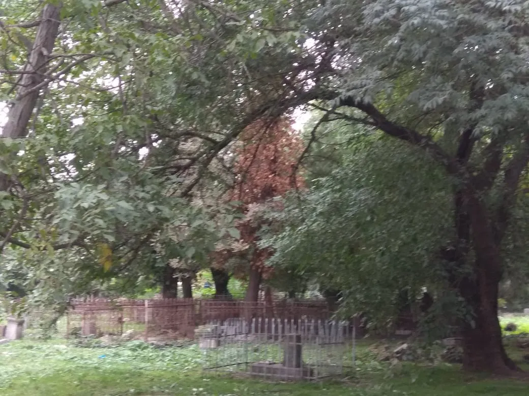 Krasnodar Jewish Cemetery — foto 3