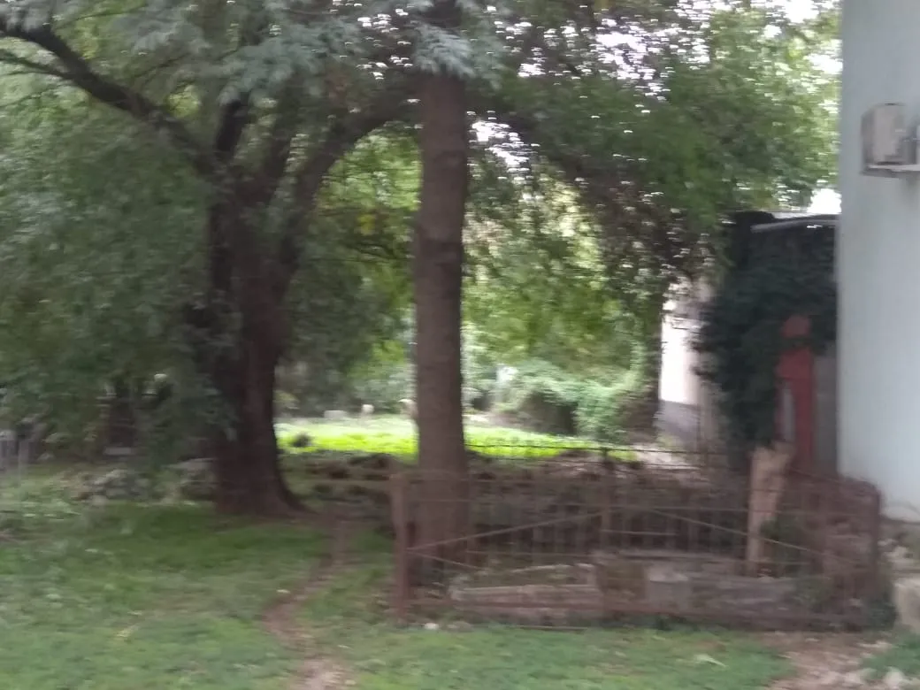 Krasnodar Jewish Cemetery — foto 5