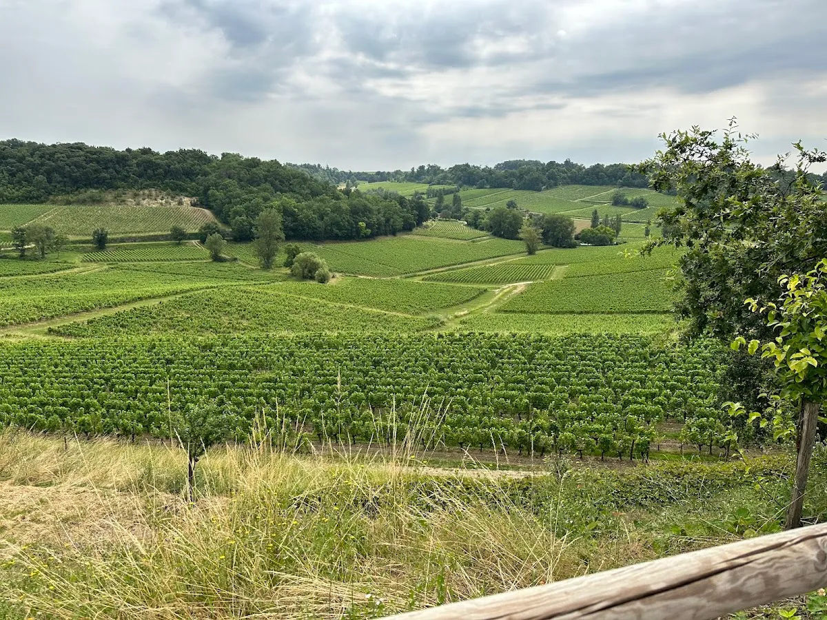 La Route des Vins Casher - Kosher Wine Route/Wine Tour — photo 3