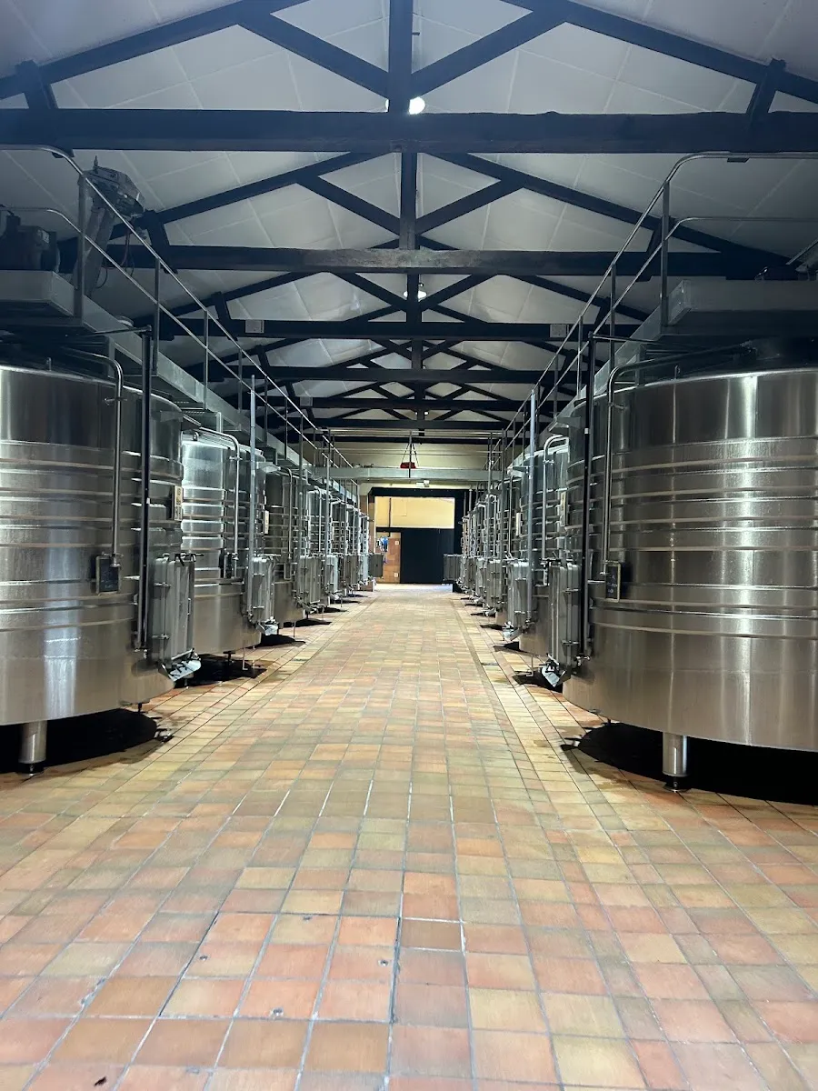 La Route des Vins Casher - Kosher Wine Route/Wine Tour — photo 4