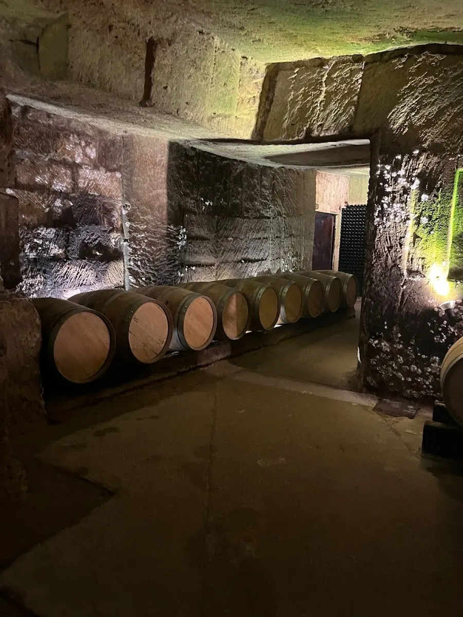 La Route des Vins Casher - Kosher Wine Route/Wine Tour — photo 5