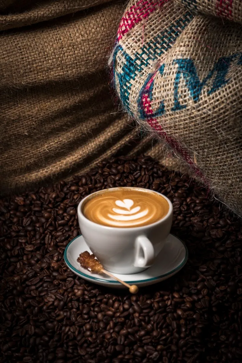 La Vela Coffee Roasters and Catering — foto 3