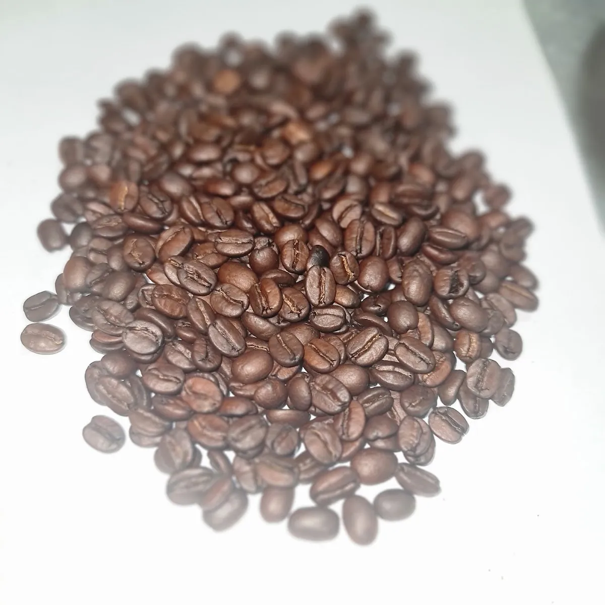 La Vela Coffee Roasters and Catering — foto 7
