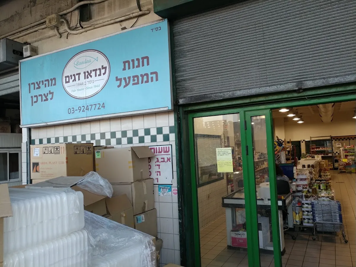 Landau Dagim — photo 8