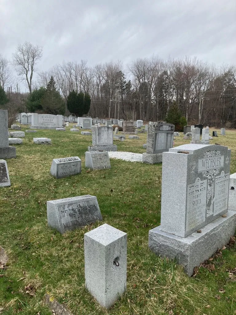 Landfield Avenue Synagogue — photo 6