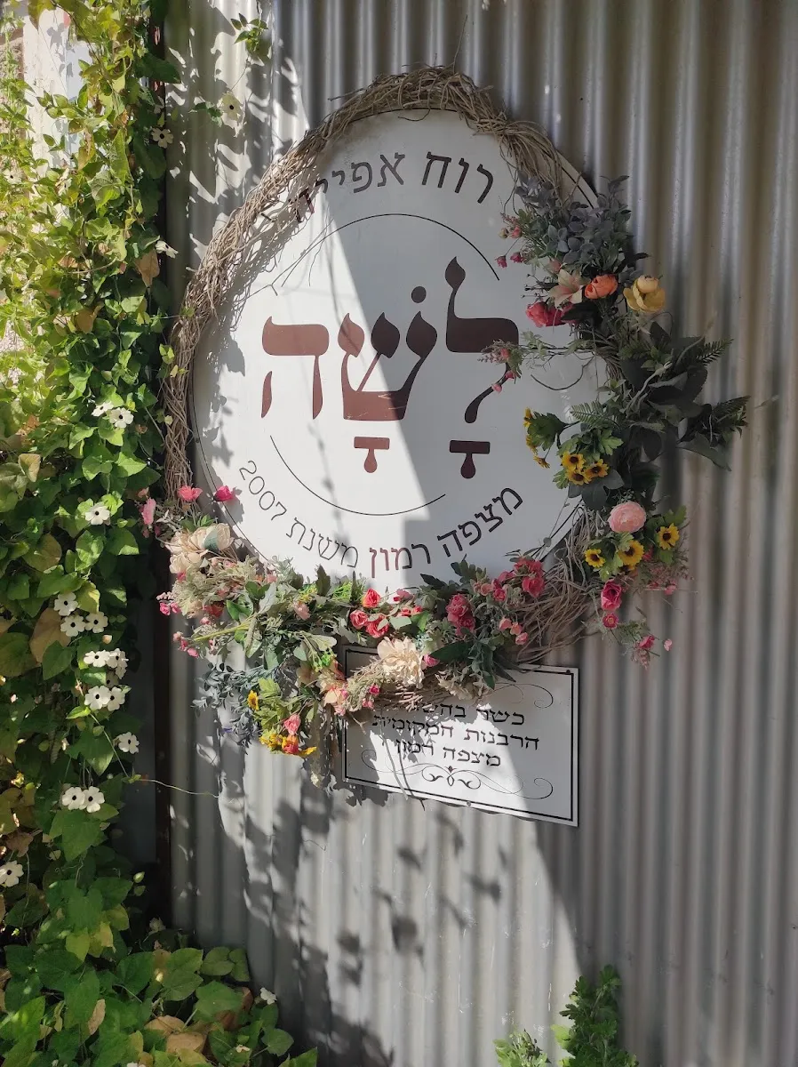 Lasha Bakery — photo 6