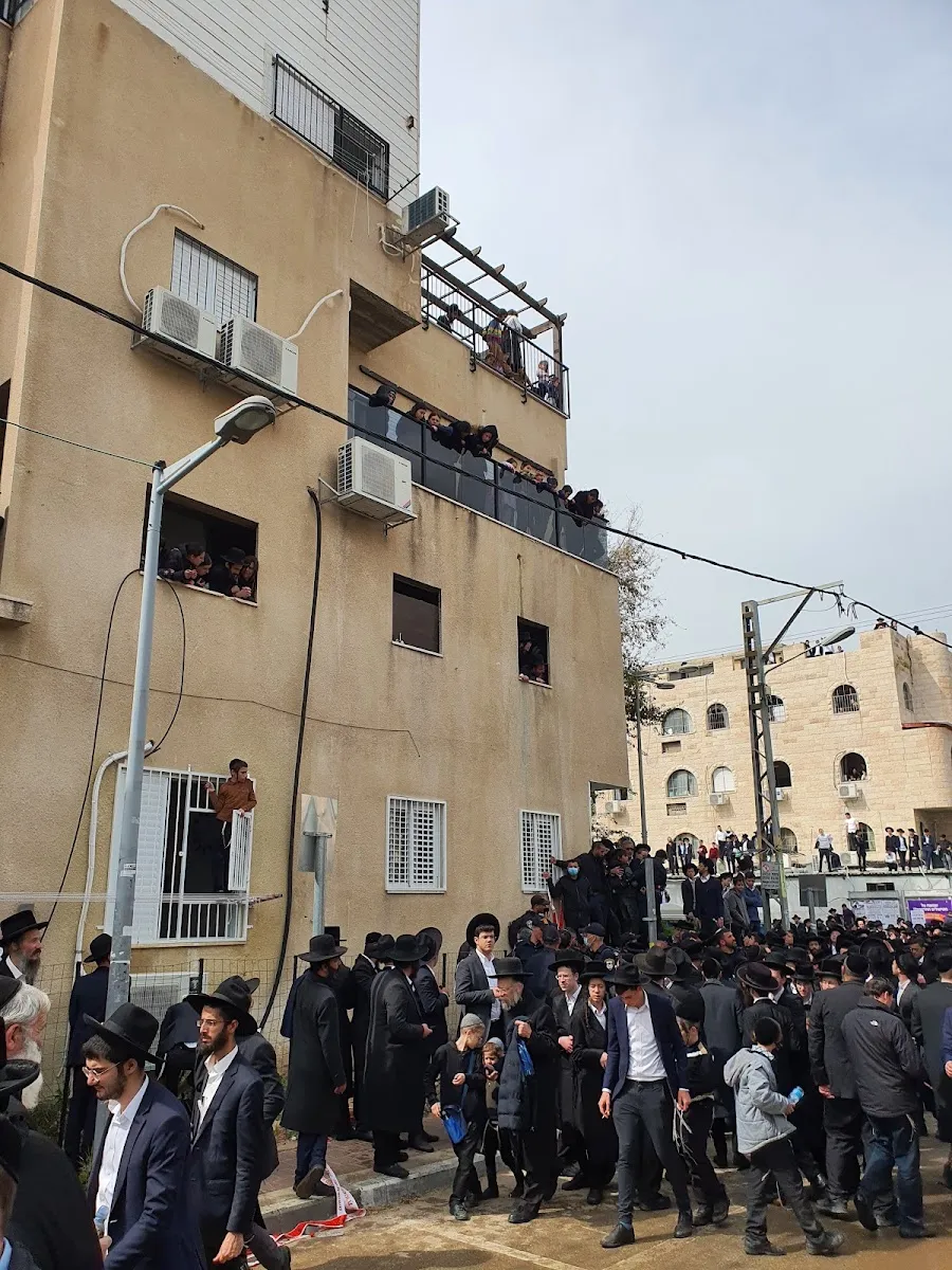 Lederman synagogue — foto 7
