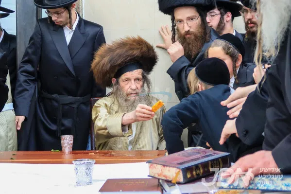 Lelov Nikolsburg Synagogue — foto 6