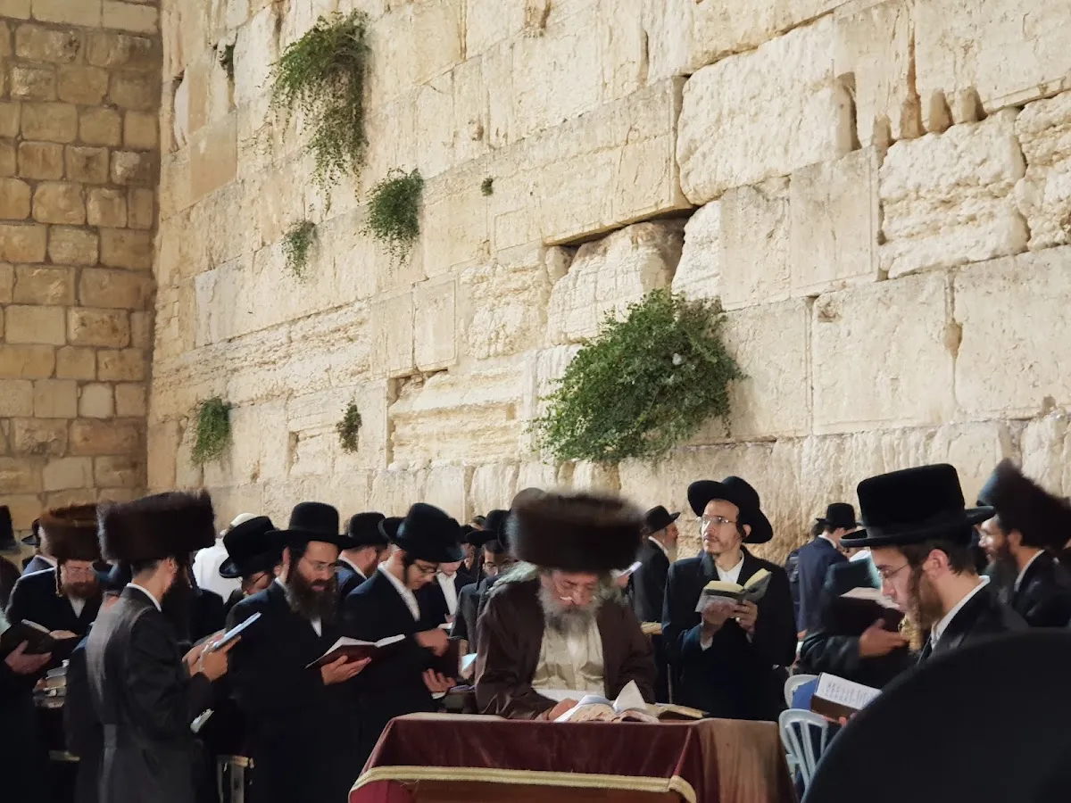 Lelov Zot Zikaron Beit Midrash and Kollel — foto 2