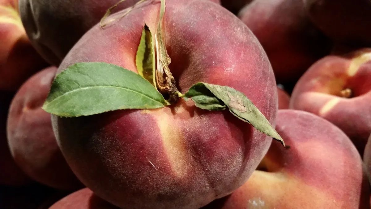 Leons Fruit Shop — photo 7