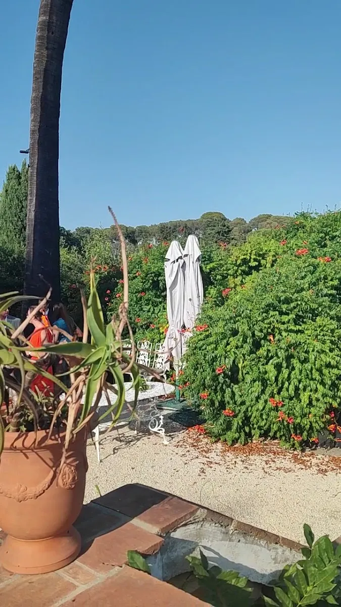 Les Pins Penchés - Restaurant gastronomique, Mariage et lieu de réception — foto 4
