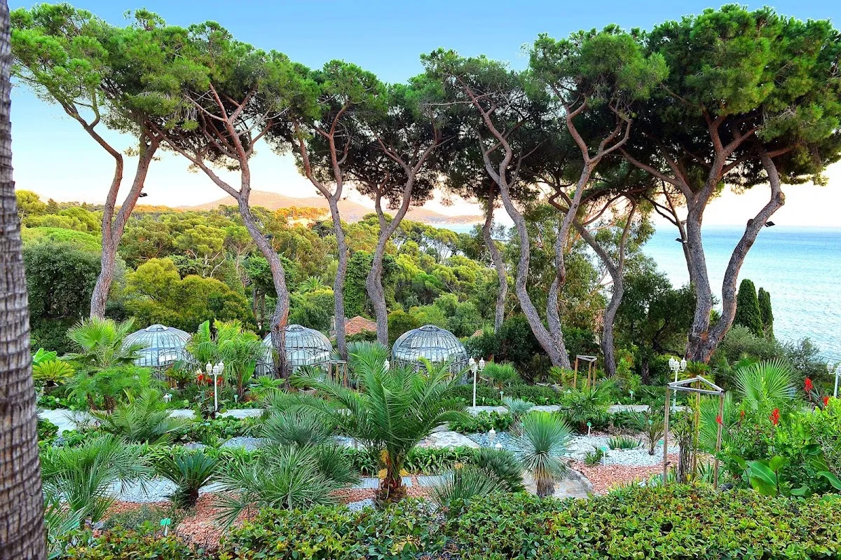 Les Pins Penchés - Restaurant gastronomique, Mariage et lieu de réception — foto 5