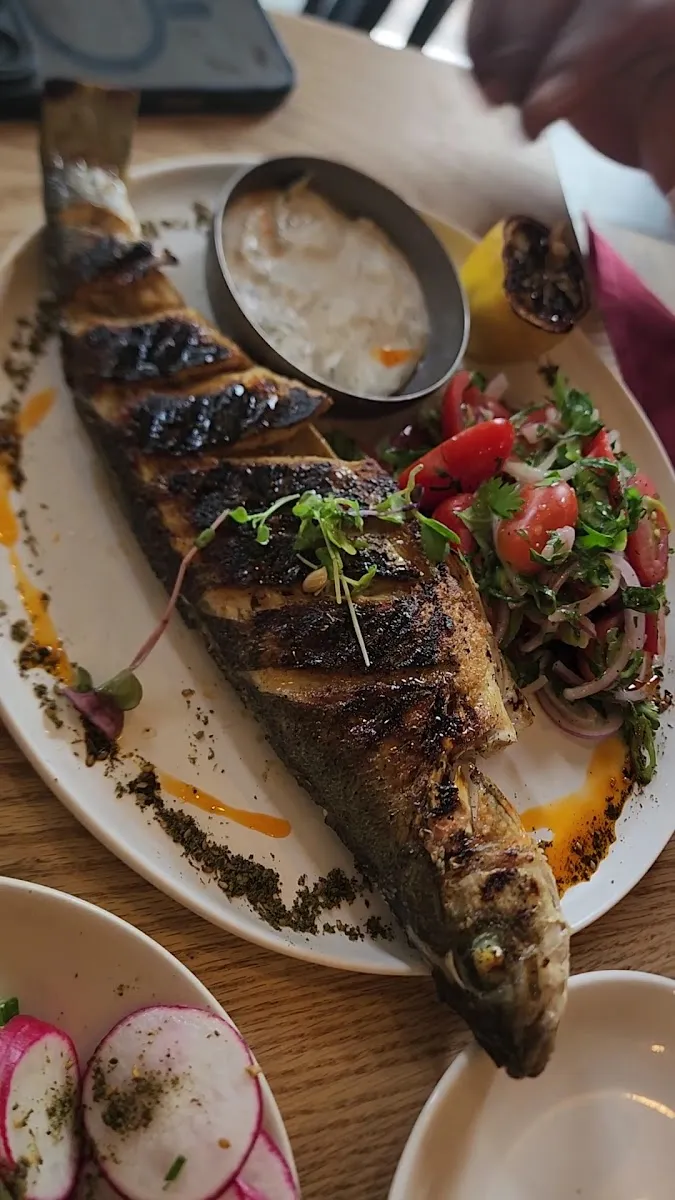 Levantine — foto 6