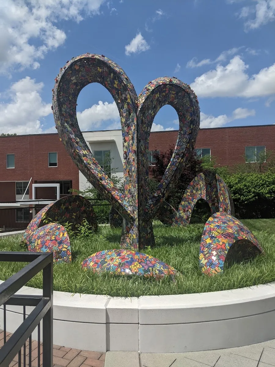 Levine Jewish Community Center — foto 6