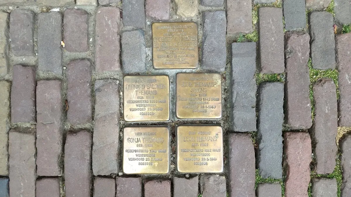 LJG Utrecht — photo 9
