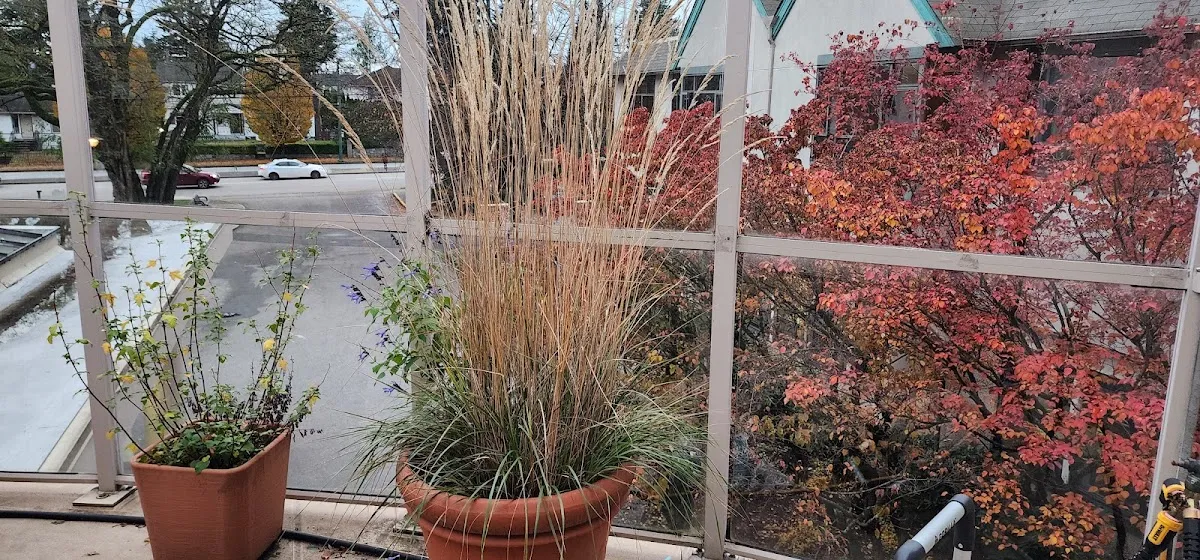 Louis Brier Jewish Residence — photo 3