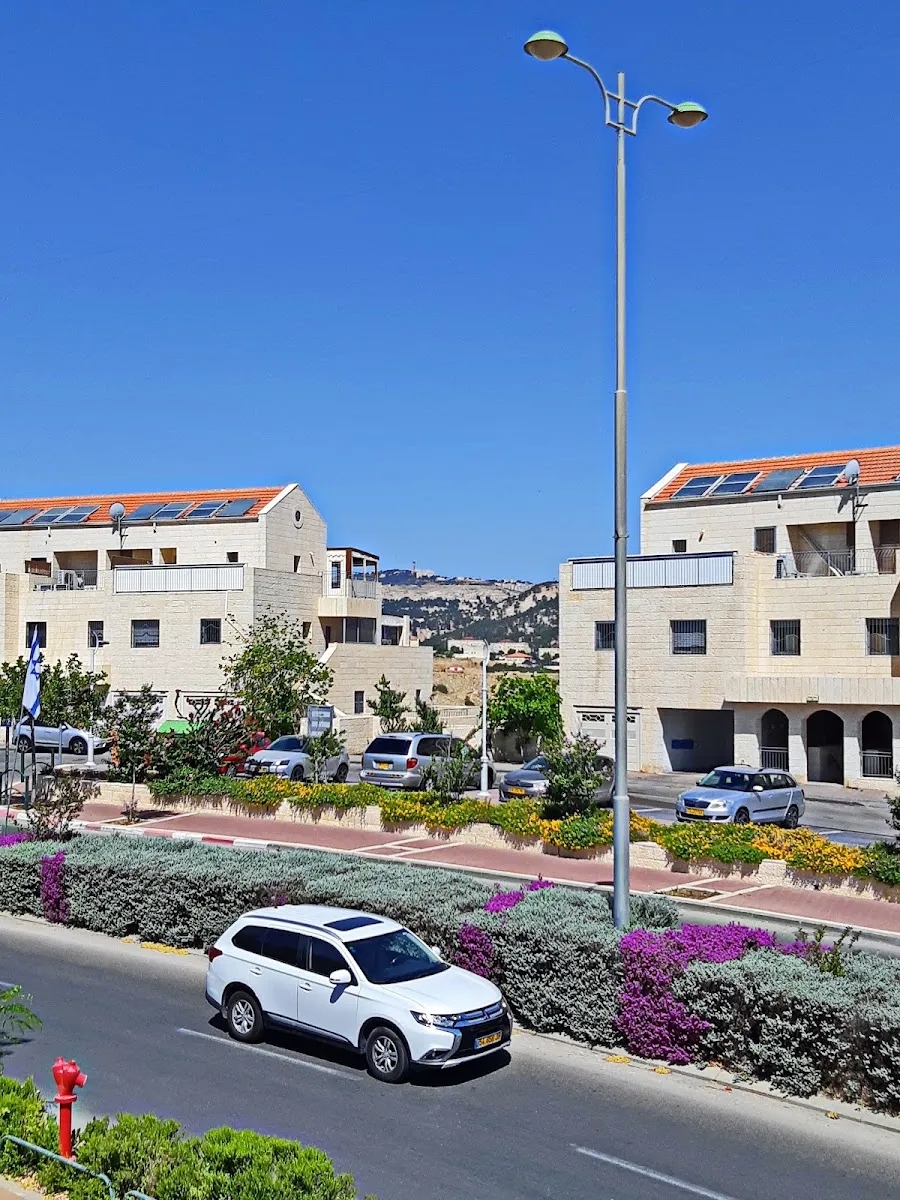 Ma'alot LeDavid Synagogue — foto 3