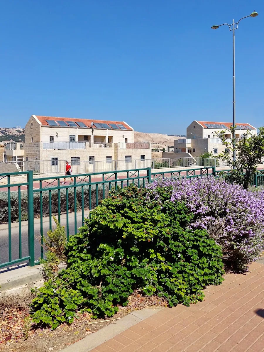 Ma'alot LeDavid Synagogue — foto 7