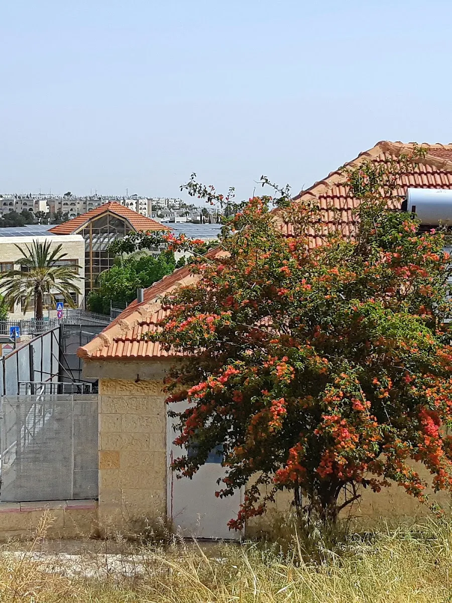 Maayan 2000 (Maale Adumim) — photo 6