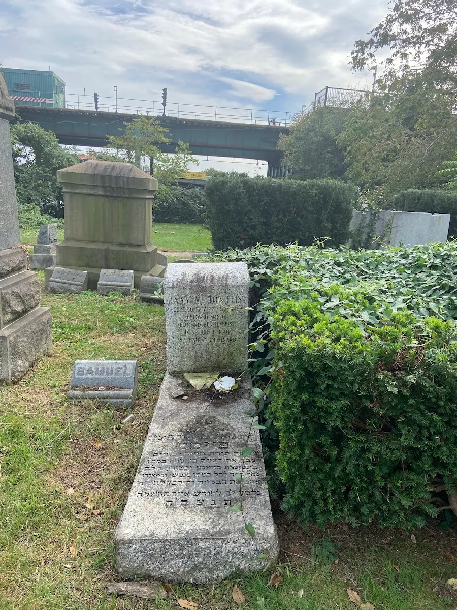 Maimonides Cemetery — foto 2
