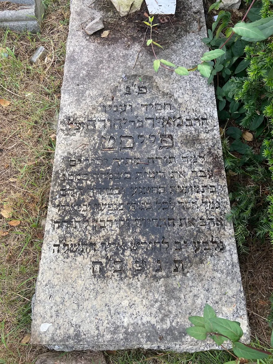 Maimonides Cemetery — foto 6