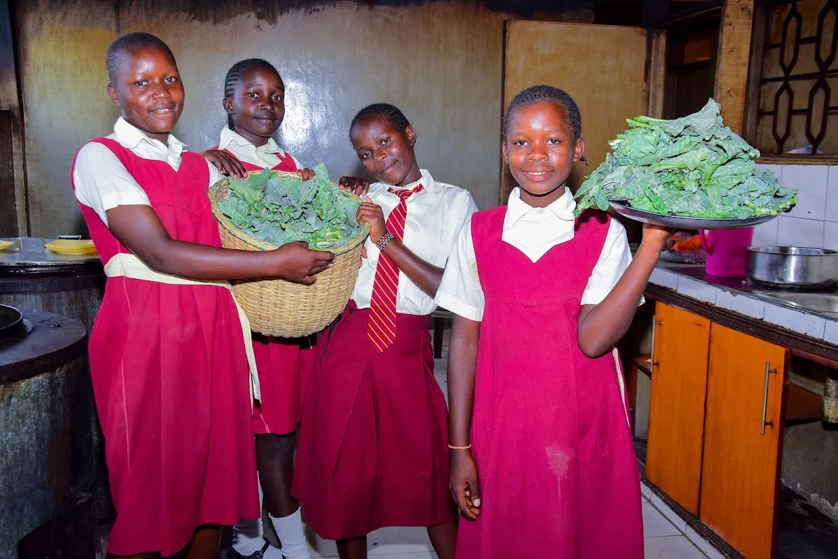 Maisha Project — foto 5