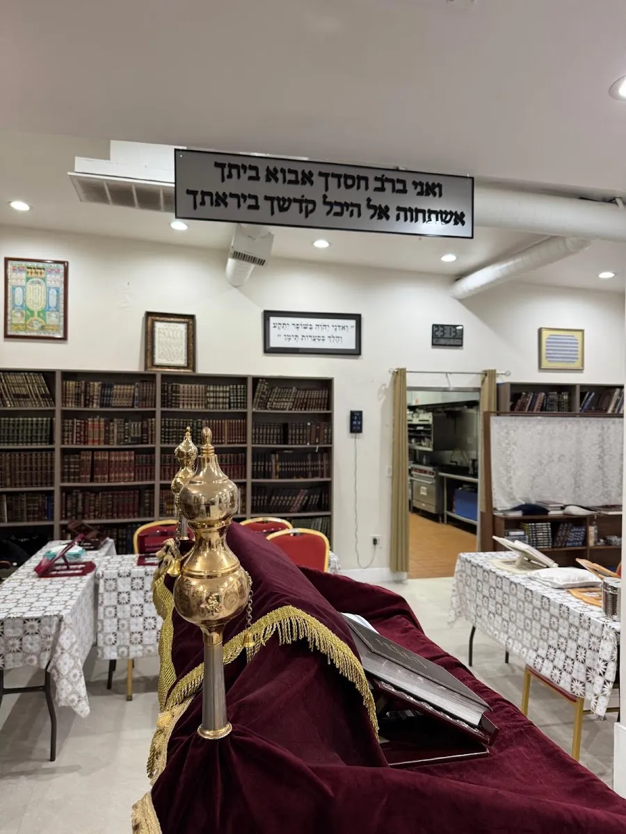 Maor Haim — photo 5