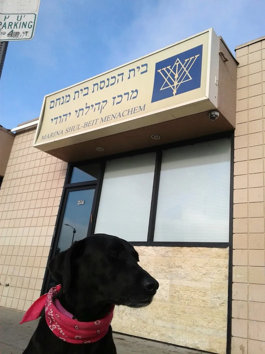 Marina Shul — photo 3
