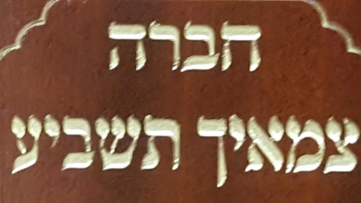 Masbia Soup Kitchen Network — photo 4