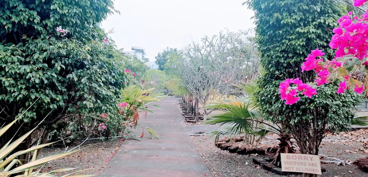 Mattancherry Jewish Cemetery — foto 10