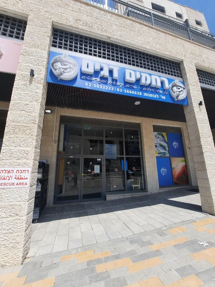 Mazal Dagim — photo 4