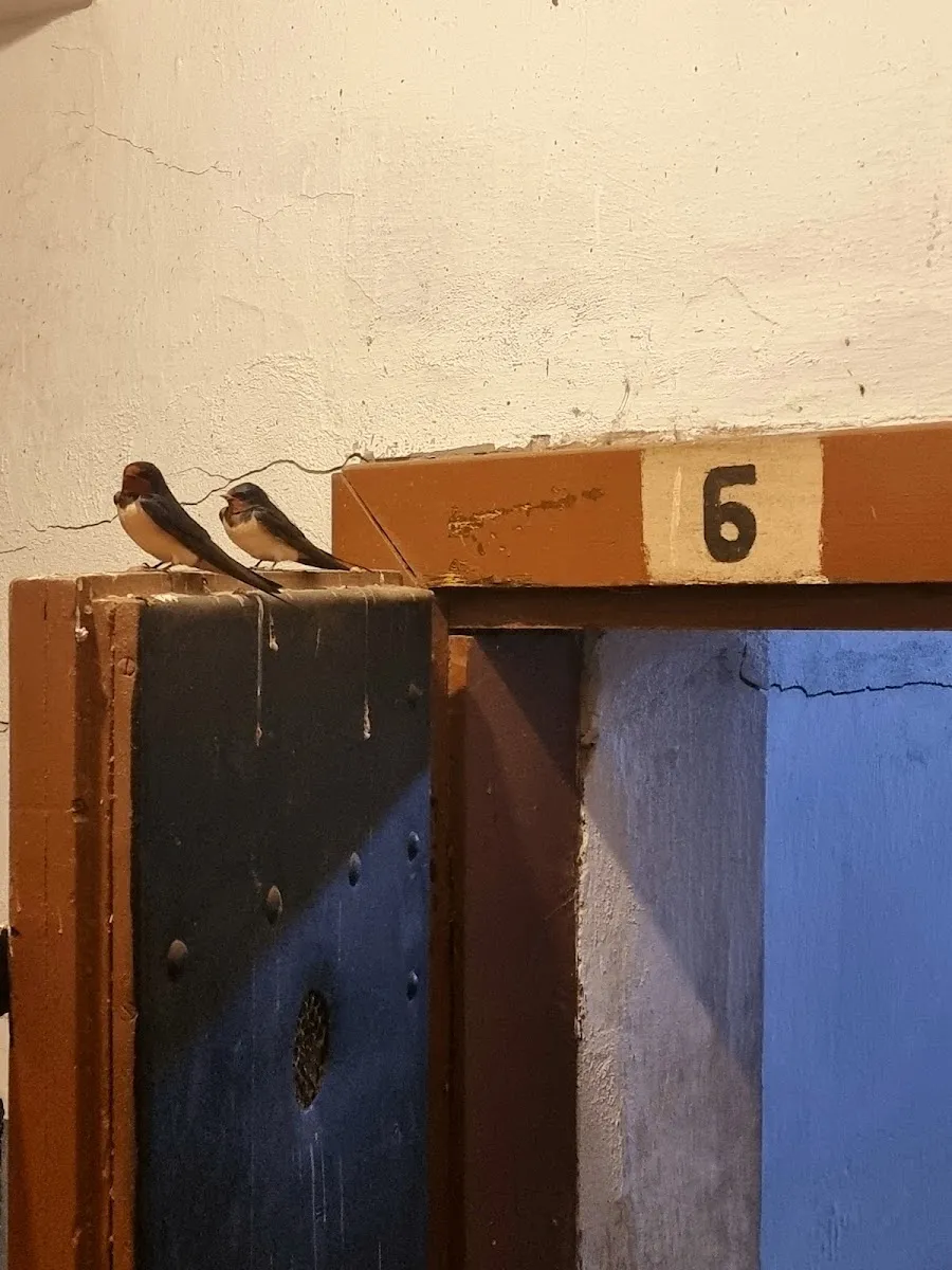 Památník vězněných a zavražděných v židovském ghettu Terezín — foto 8