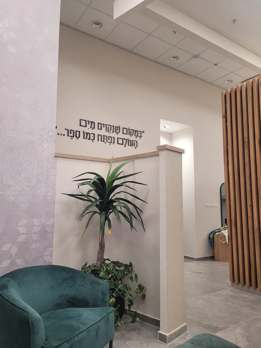 Men's Mikveh (Simcha Holtzberg St)